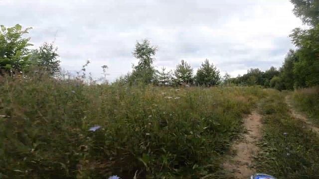 Поездка за грибами на пит байке.