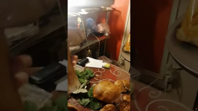 Отправить сбор грибов 10.08.2023