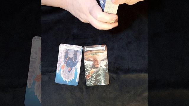 4рыбы