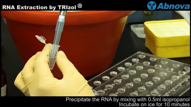 RNA Extraction by TRIzol®