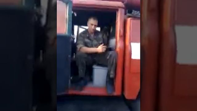 Новомосковский лес