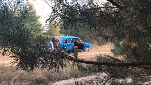 Ого! Находка в лесу!