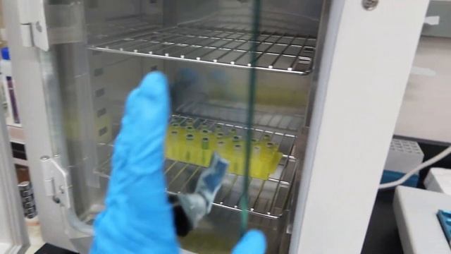 LAB, tara! | Paano nag e-extract ng DNA dito? | DNA Extraction using Magnetic Beads!