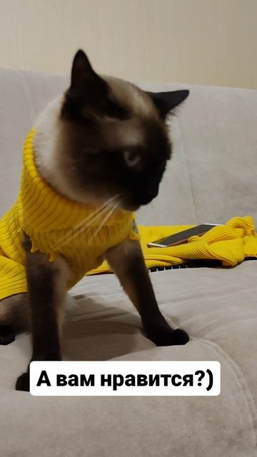 Как вам??