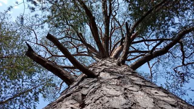 Ответ на вопрос