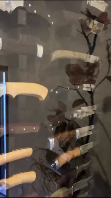 1000013424.mp4