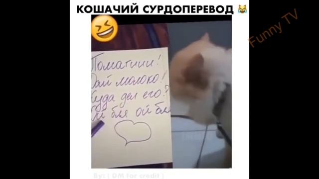 Funny Video  compilation №1 Подборка смешных видео со всего мира! Смотри и наслаждайся :-)