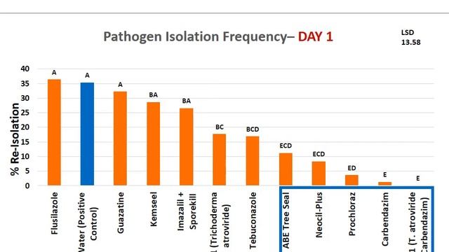 Evaluation of pruning wound protectants on nursery apple trees. (L Mostert)