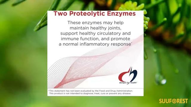 Natto-Serrazime Designs for Health Nattokinase with Serrapeptidase - Natto-Serrazime