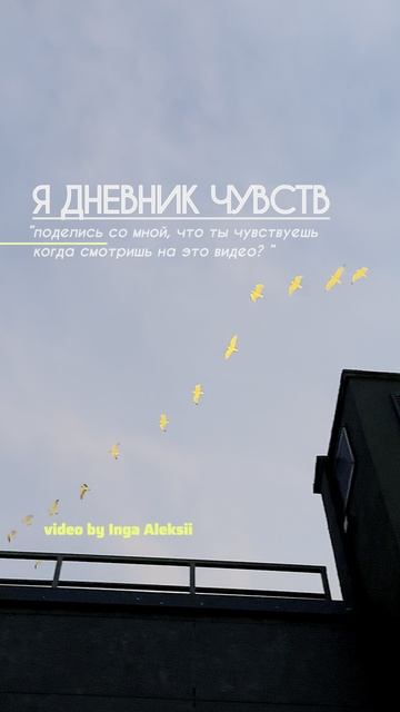 Дневник чувств ( diary of feelings )