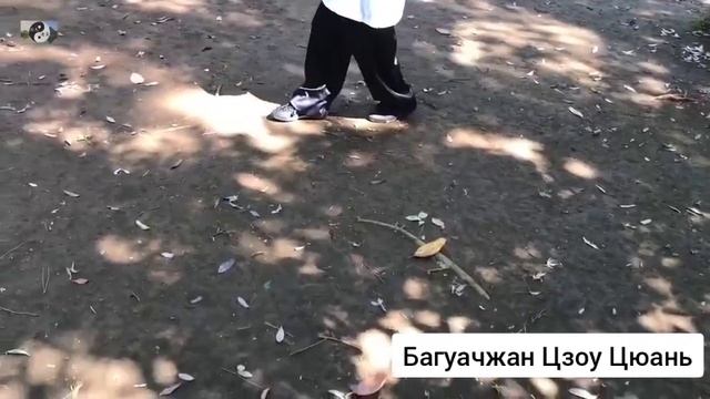 38 лабиринты кунг-фу