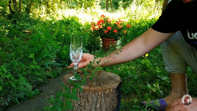 Meyvəli Kokteyl, Səhər Şəfəqi, Country Life Vlog