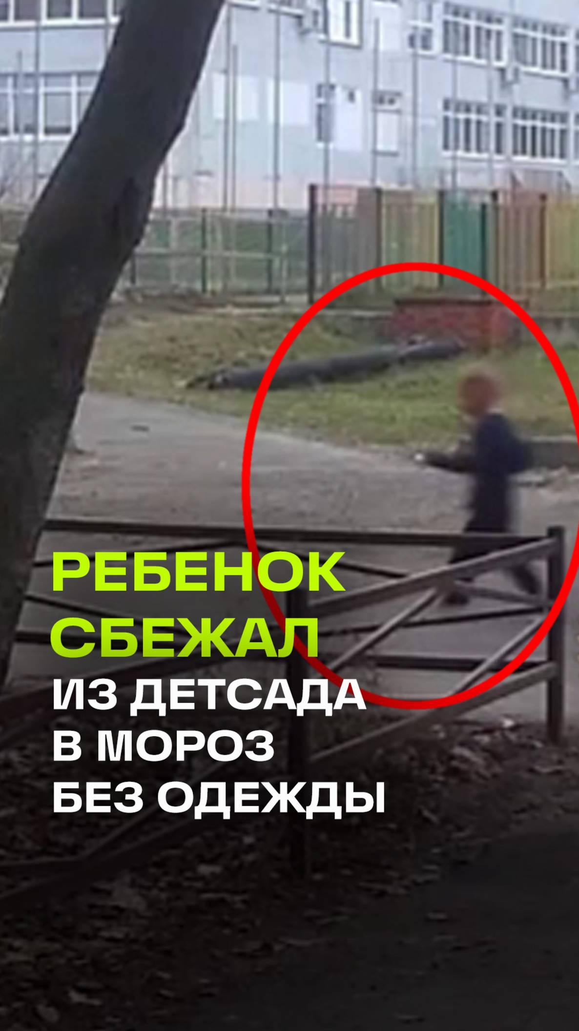 Побег из Шоушенка на минималках: двухлетний ребенок сбежал из детского сада в Подмосковье