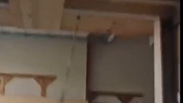 ТЕСТ НА ШИЗУ УРОВЕНЬ: ДОЖДЕВОЙ ЧЕРВЬ