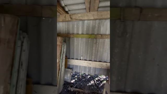 Продается участок 6 соток, на горной вершине «Гора Тепе-Оба», в СНТ "Портовик-1".