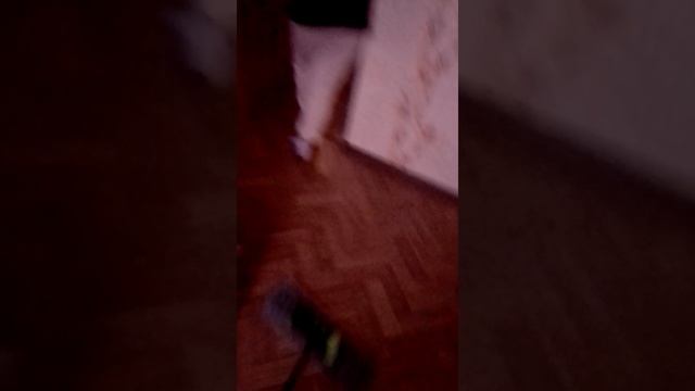 День ГЛАЗАМИ ШВАБРЫ
