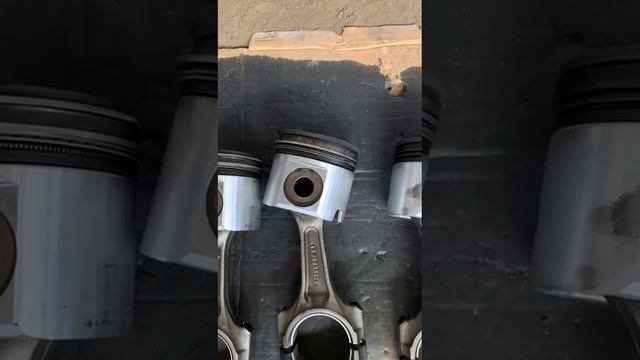 VID-20250203-WA0007