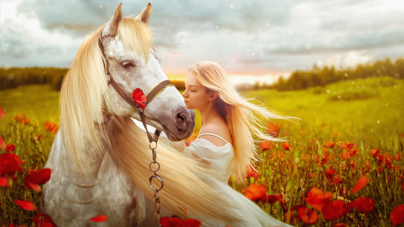 XxX- Suleymer- Mystique