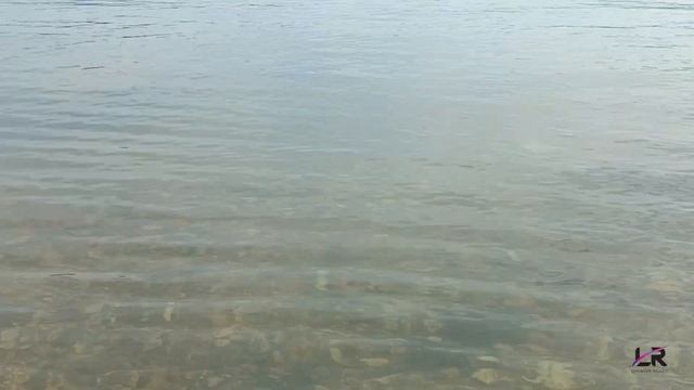 30 07 2023 Лютая жара на Воеводе часть 1