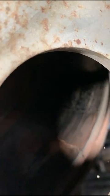 VID-20250203-WA0009