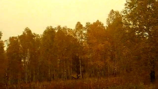 НЛО ПОРТАЛ - хрен где такое увидишь