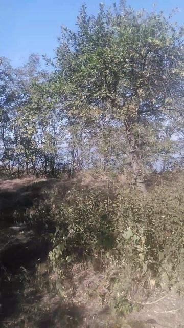 VID_20241004_144542