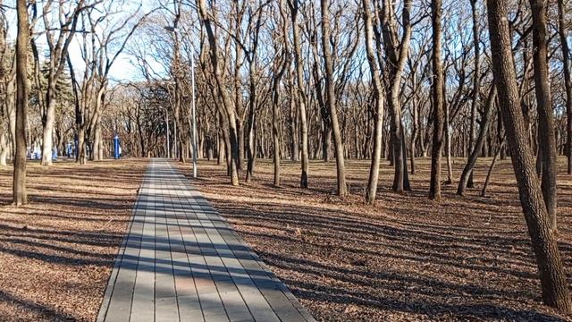 Перед отъездом/хожу размышляю про отдых,санаторий