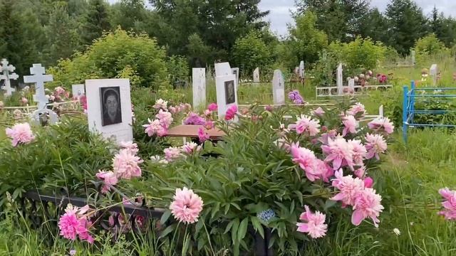 Некро. Погружение - Айгуль