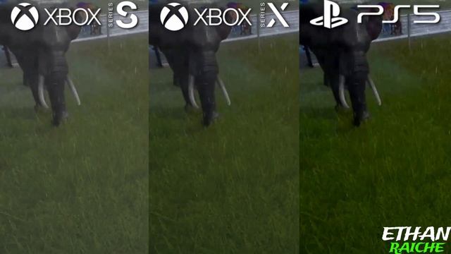 Planet Zoo PS5 vs Xbox Series X vs Xbox Series S Graphics Comparison