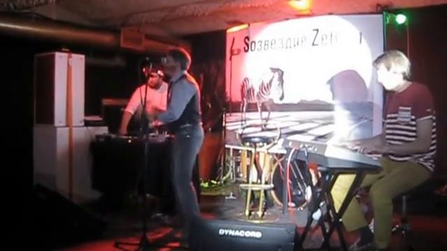 Созвездие Зебры - Девочка из Токио (Live)