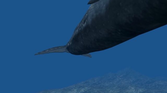 The Matrix, Darwin and the Whale | Short Stories of Origins part 12 | Paul Wallis