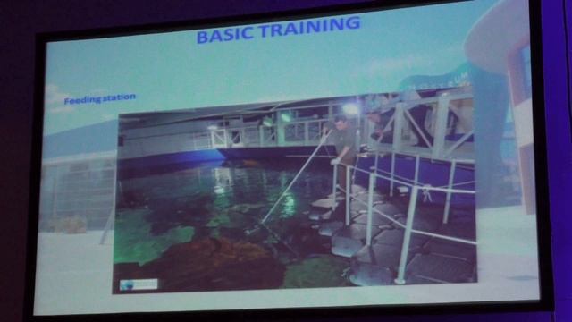 «Дрессировка животных в аквариуме Mare Nostrum, в Монтпельер, во Франции» Николас Хайрел, куратор, Ф