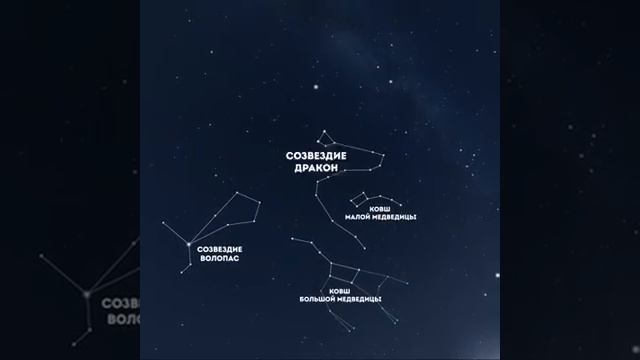 Созвездие.  adme.ru