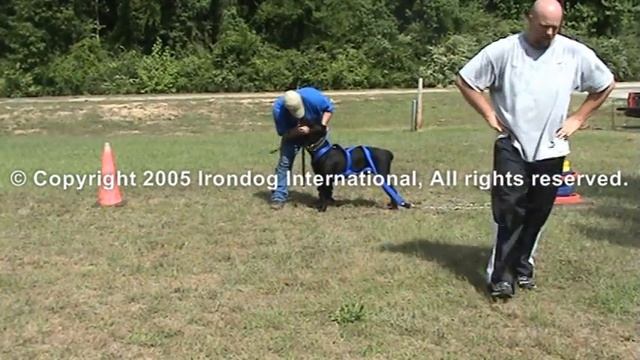 Irondog Drag Weight Pull