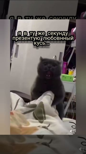 любовная любовь