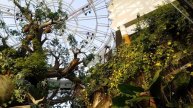 The Green Planet Dubai