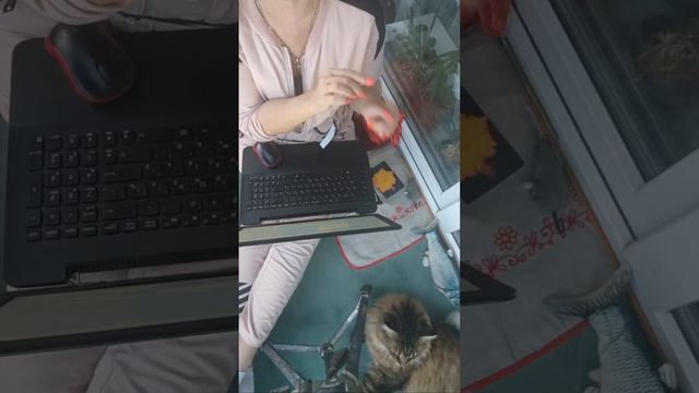 Как научиться.? Спасибо огромное ❤🐱💋 @helenared