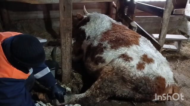Пока от него одни убытки.
