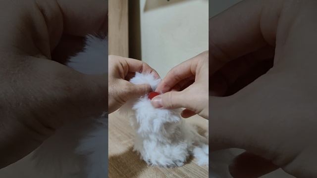 1000040099.mp4
