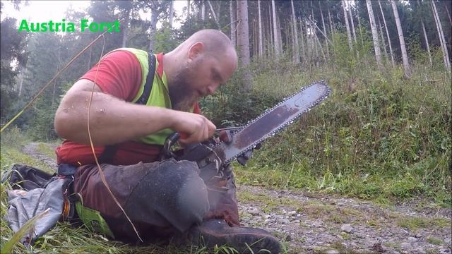 F&A warum Pfanner / scharfe Kette ?!?!? Austria Forst Talk