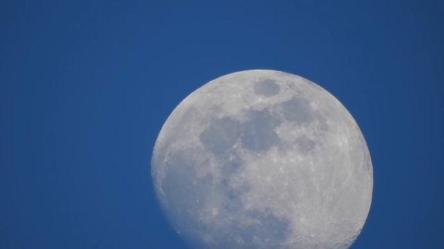 Our Bright White Moon Appears to have it's own moon - Jupiter!