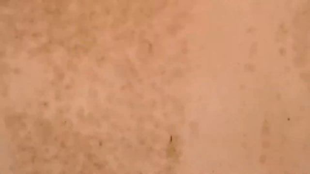 Mercury 75 Hp Routine service, Final Running 9 14 22