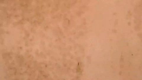 Mercury 75 Hp Routine service, Final Running 9 14 22