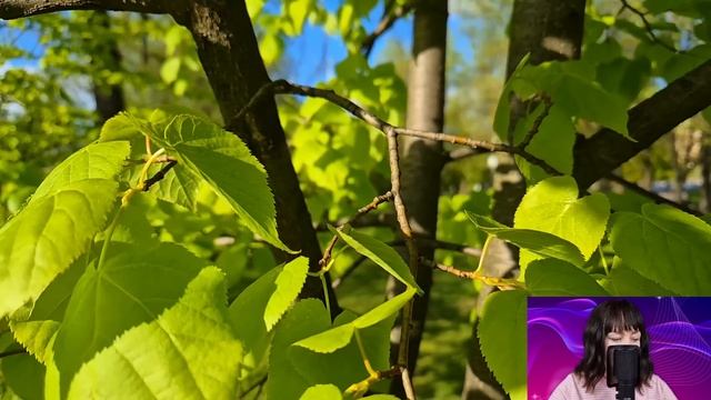 Чтобы сорвать свадьбу, миллионер приехал в деревню к невесте сына, чтобы вручить ей 10 миллионов...