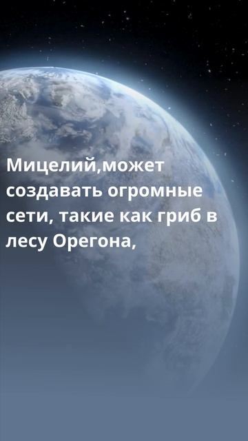 #космос #science #образование #space