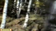 “Лучший сборник” НЛО, гном, призрак,cнежный человек.