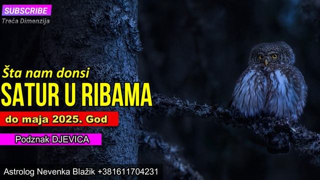 Šta nam u naredne dvije ipo godine donosi Tranzitni Saturn u Ribama (do maja 2025)