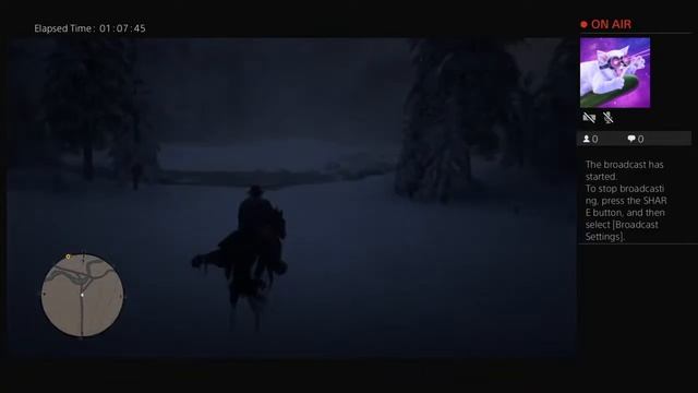 Rdr 2 part 1