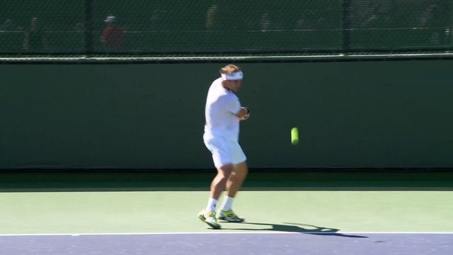 David Ferrer Forehand and Backhand 2 - Indian Wells 2013 - BNP Paribas Open