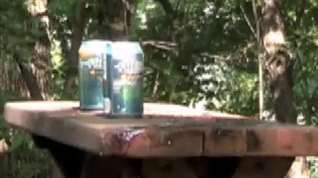 Air Rifle Ballistics